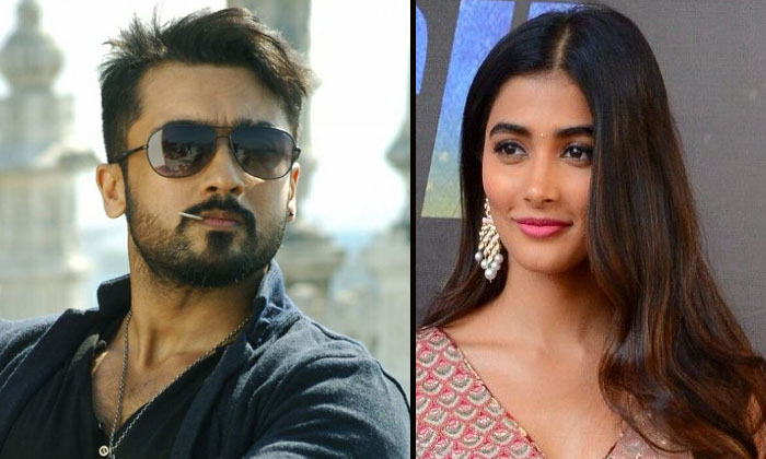 pooja hegde suriya movie