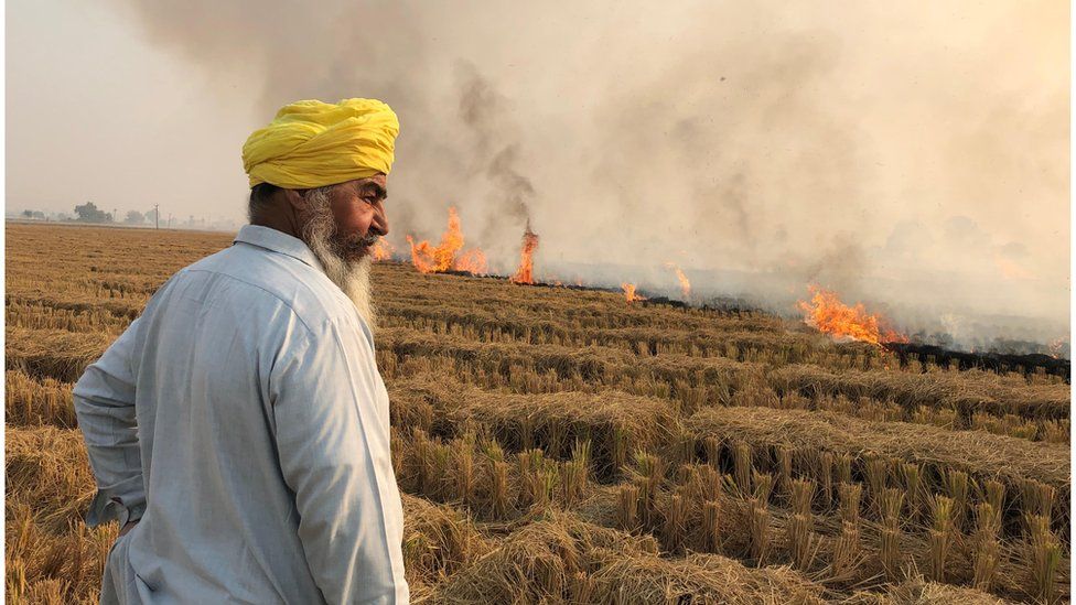 farmers burning stubble