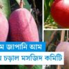 One Miyazaki Mango sold at Rs. 10,600 in Birbhum, West Bengal (Video)