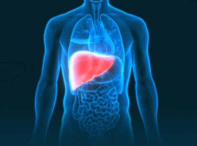 Gene therapy offers potential new treatment for liver cancer