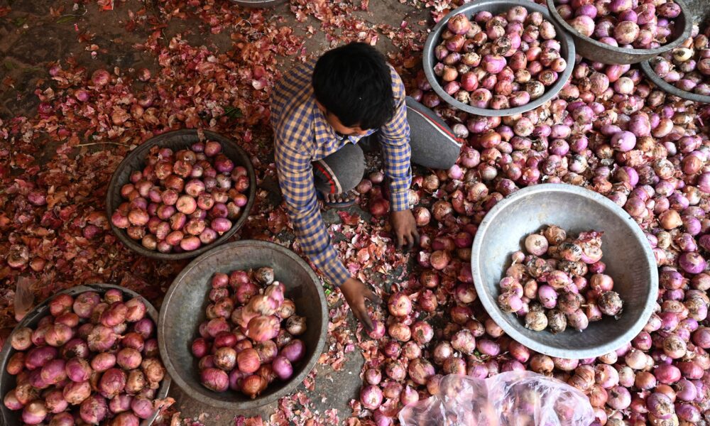 Nepal faces onion shortage after India imposes 40% export duty