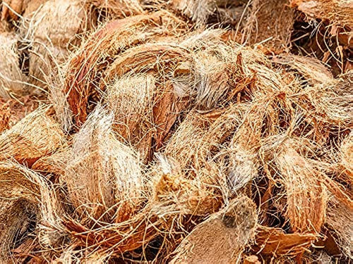 Central universities research says coconut coir has anti-cancerous qualities