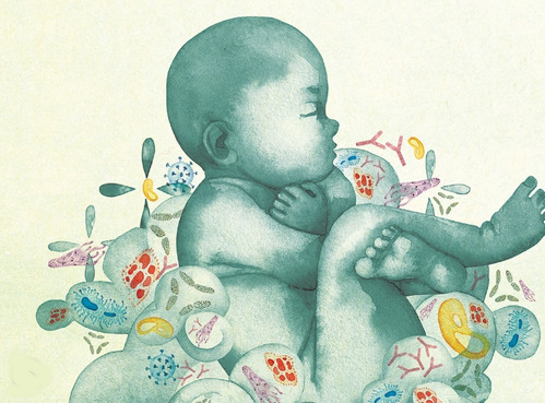 Covid pandemic may have changed the gut bacteria of infants: Study