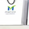 Marico logs Rs 386 crore as Q3 PAT