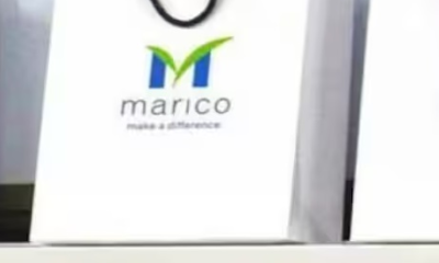 Marico logs Rs 386 crore as Q3 PAT