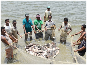 Govt ropes in ONDC to bring fishermen on e-market platform