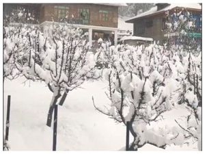 J&K: Authorities urge people to exercise caution amid heavy snowfall