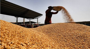 Centre issues order on wheat stock declaration by traders to keep prices in check