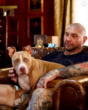 Dave Bautista says Chris Pratt, Millie Bobby Brown helped him adopt dog