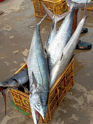 'Fisheries crucial for food security and livelihood'