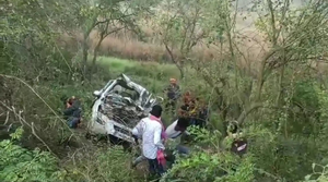 Seven killed, four injured in road accident in Bihar's Khagaria