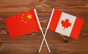 Chinese embassy in Canada refutes foreign interference accusations