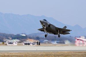 Several US F-22 stealth jets arrive in South Korea