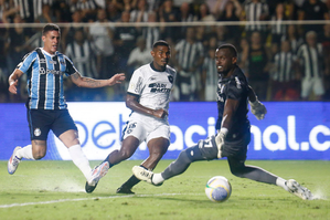 Serie A: Botafogo overcome Gremio to regain top spot