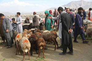 Afghans celebrate Eid al-Adha amid tight security