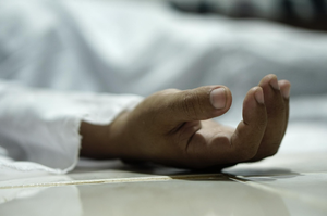 Groom dies of snake bite hours before wedding in UP's Bulandshahr