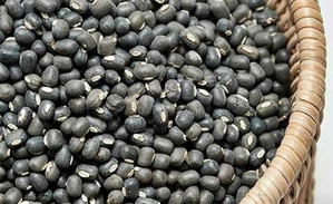 Urad prices dip on higher govt procurement, sown area shoots up amid better monsoon