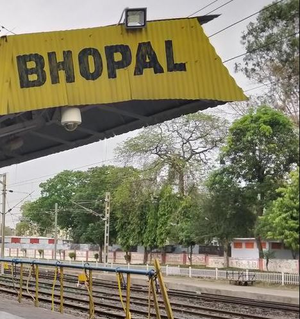 Two tiger cubs injured in MP's Sehore shifted to Bhopal in special train