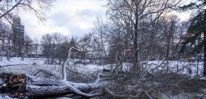 Cyclone Kirsti causes widespread damage, power outages in Latvia