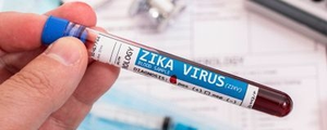 Centre formulates action plan for managing Zika Virus disease