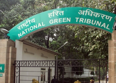 NGT issues notice on indiscriminate concretisation of roadsides & constructions in parks