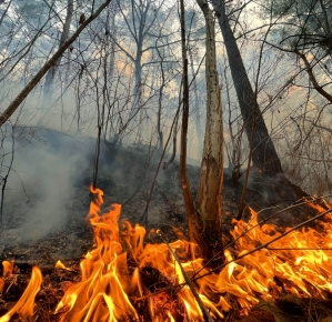 Raging fire forces evacuations in Greece