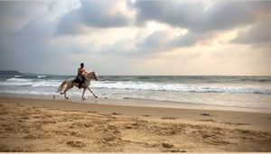 Ishaan Khatter experiences thrill of horseback riding on the beach