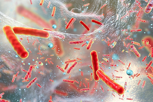 Hospital discharge increases family risk of superbug MRSA infection