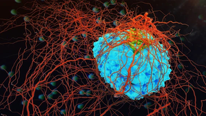 New CRISPR method to enhance CAR-T Cell therapy for cancer