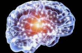 Study proposes new obesity treatment with brain electrical stimulation