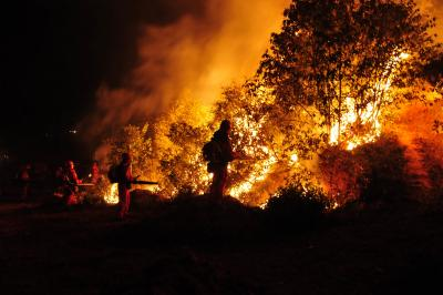 Firefighters battle wildfires in Croatia